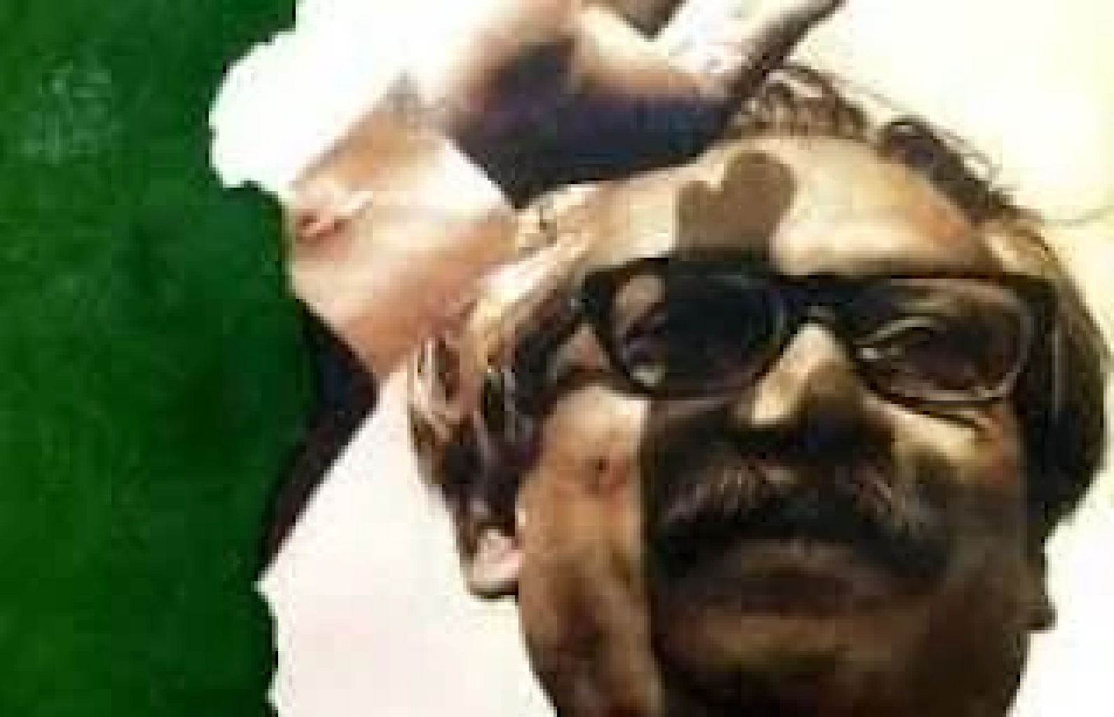 পিতা তোমায় ভোলেনি জাতি – Drhassan Mahmud