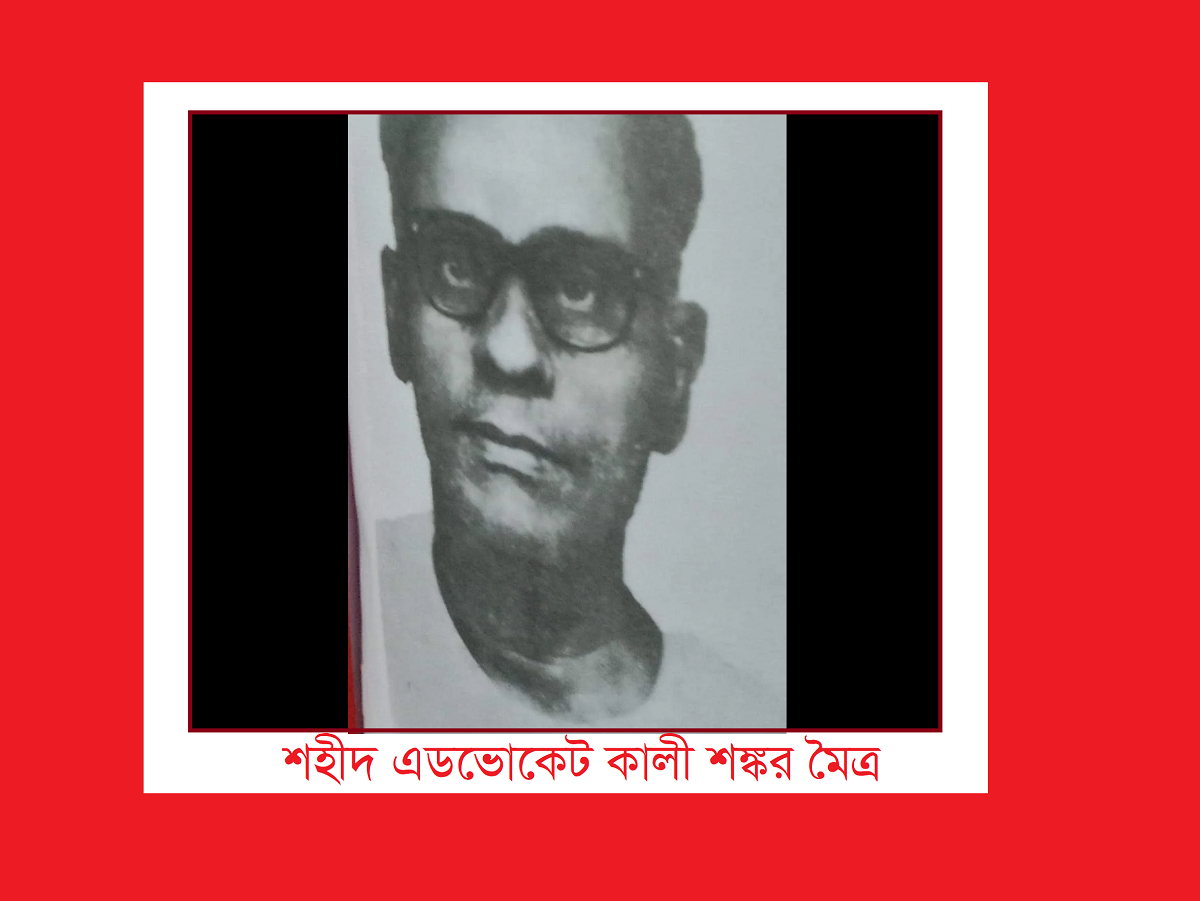 গণহত্যা ১৯৭১ – রাজবাড়ীর গনহত্যা (প্রথম পর্ব) – নাসির আহমেদ
