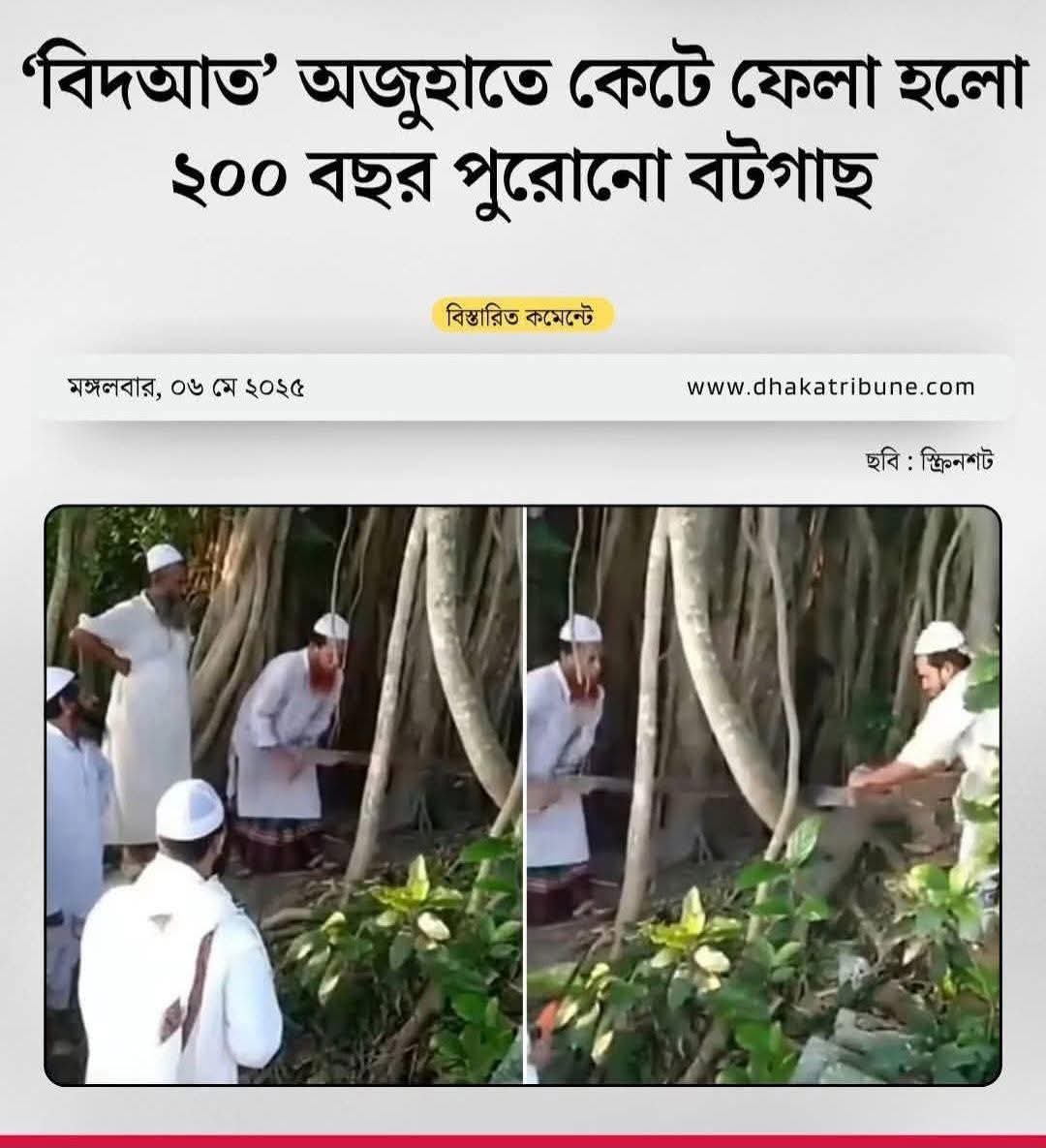 গাছও আল্লাহর প্রার্থনা করে!