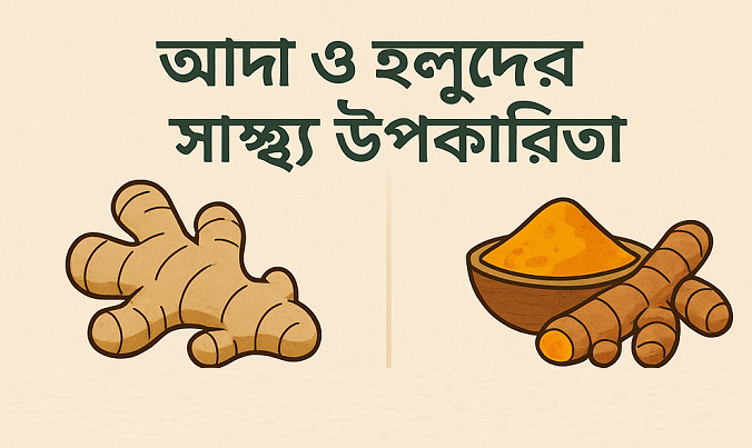 আদা ও হলুদের স্বাস্থ্য উপকারিতা: প্রাকৃতিক উপায়ে সুস্থতা