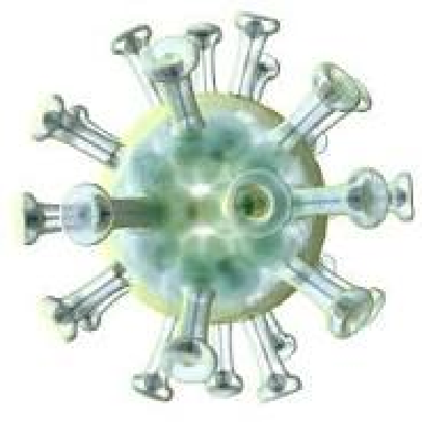 ২০২৫ সালে বাংলাদেশে নতুন করোনা রোগী সনাক্ত