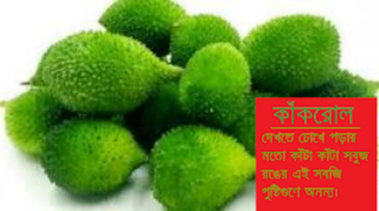 সবুজে ভরা স্বাস্থ্যরক্ষার অনন্য উপকারী সবজি ‘কাঁকরোল’