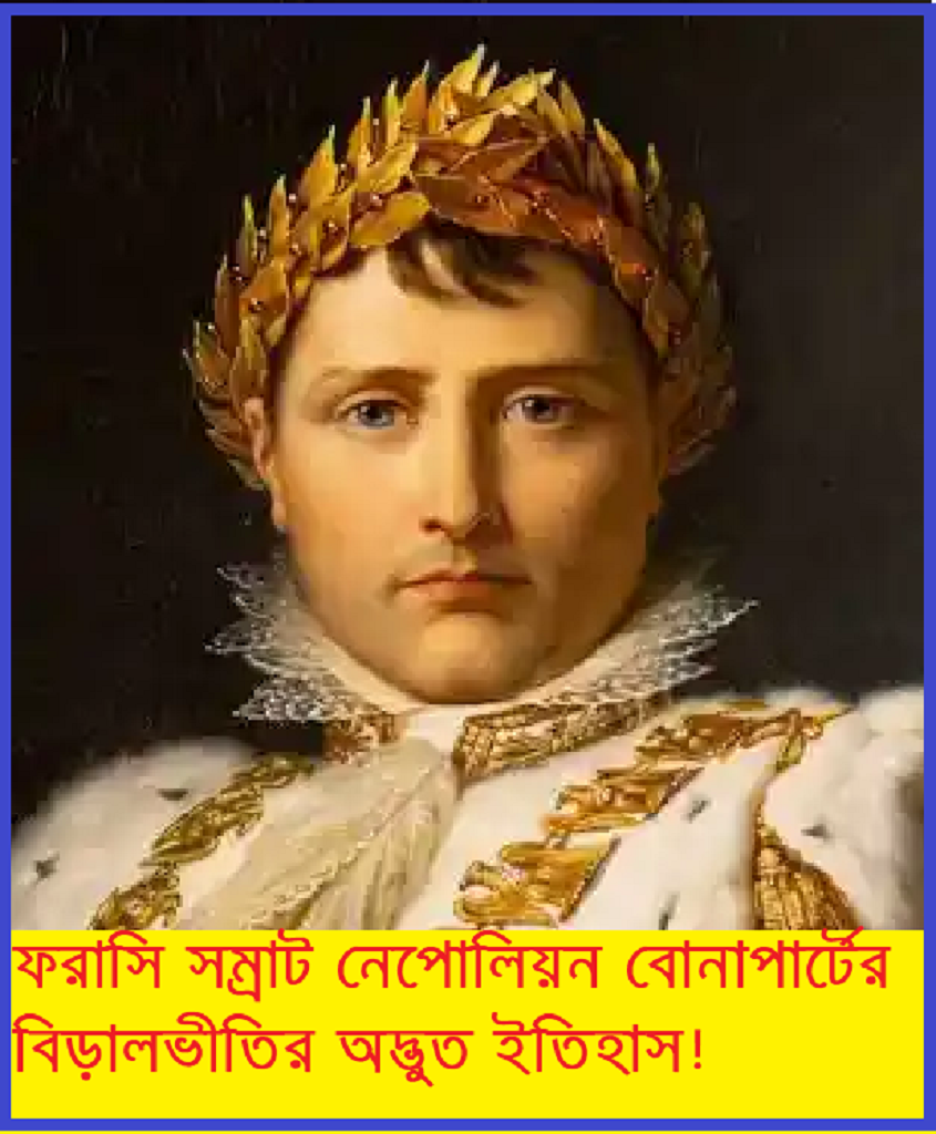 নেপোলিয়নের বিড়ালের ভয়: এক মহান সেনাপতির অদ্ভুত দুর্বলতা