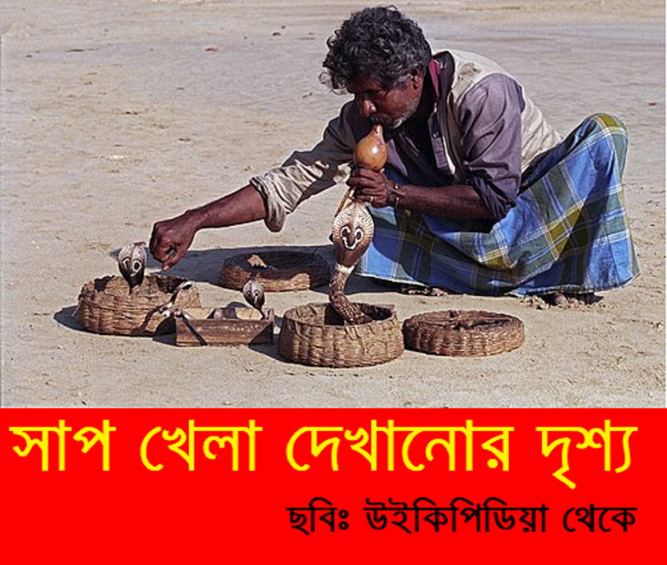 কেদার সাপুড়ে: লোককথা, বাস্তবতা এবং এক নির্মম পরিণতি