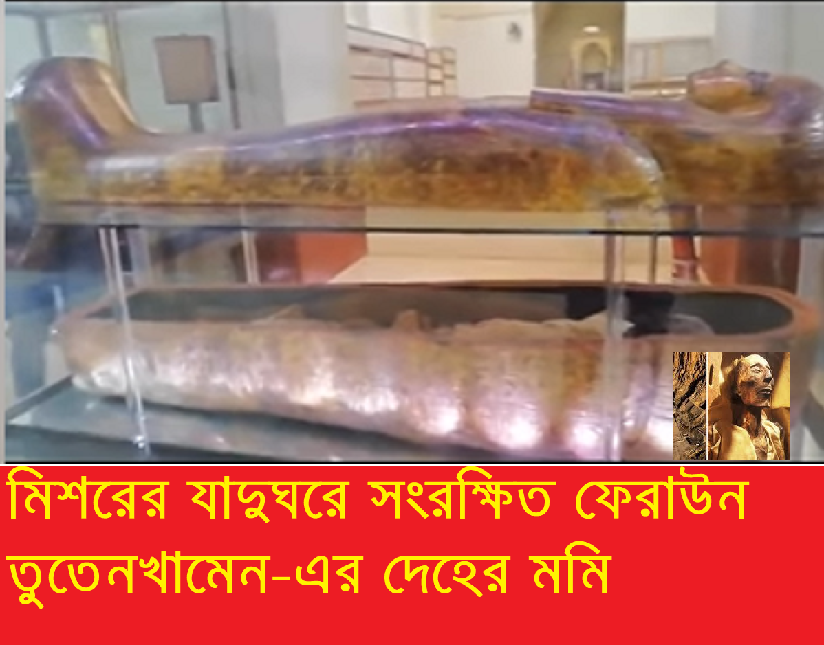 মিশরের ফেরাউনের অভিশপ্ত কফিনঃ সমাধি আবিস্কারের পর গবেষকদের মৃত্য রহস্য!