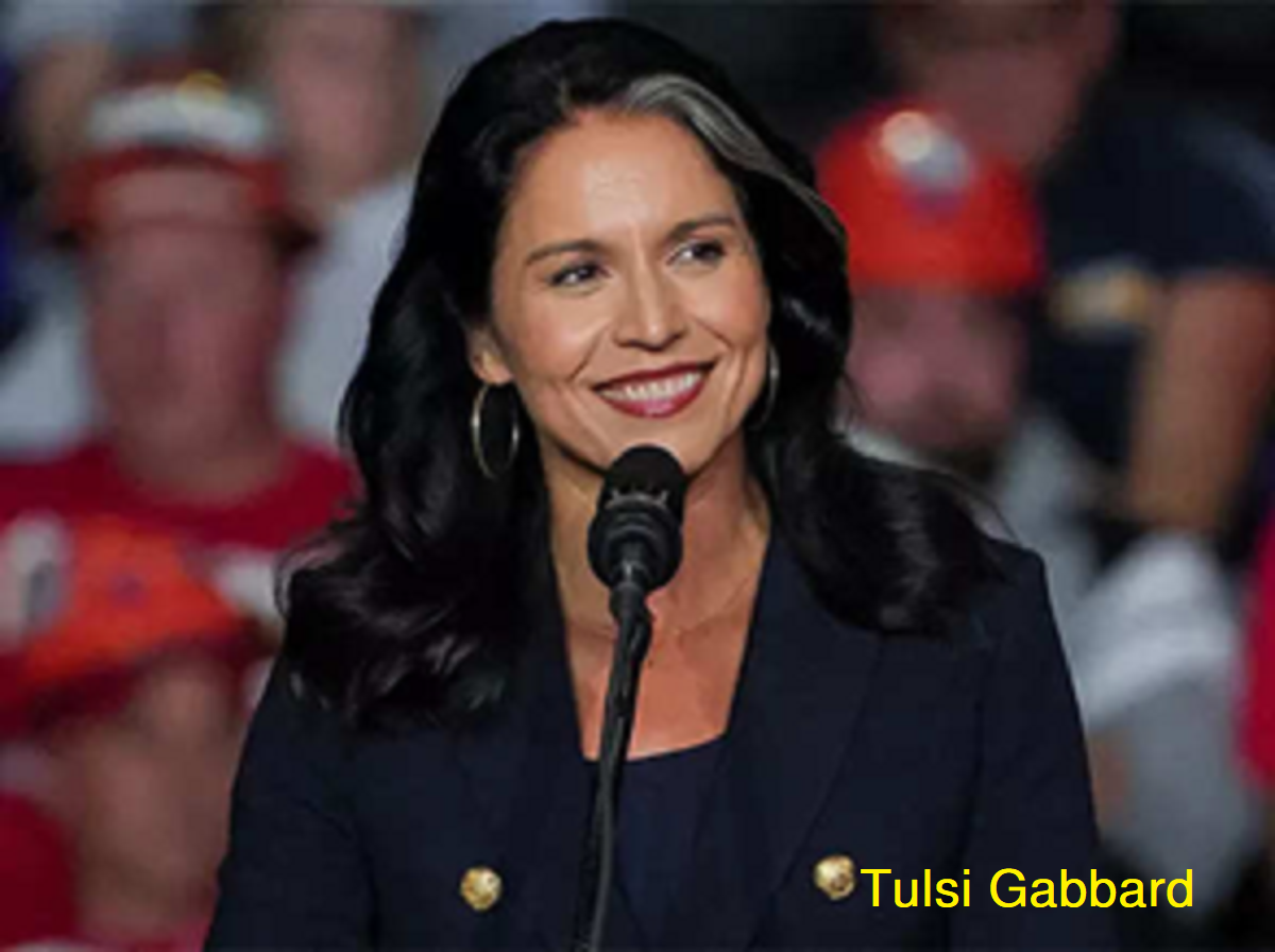 তুলসি গ্যাবার্ড আমেরিকার ন্যাশনাল ইন্টেলিজেন্সের পরবর্তী পরিচালক হিসেবে সিনেট কমিটির ভোটে উত্তীর্ণ