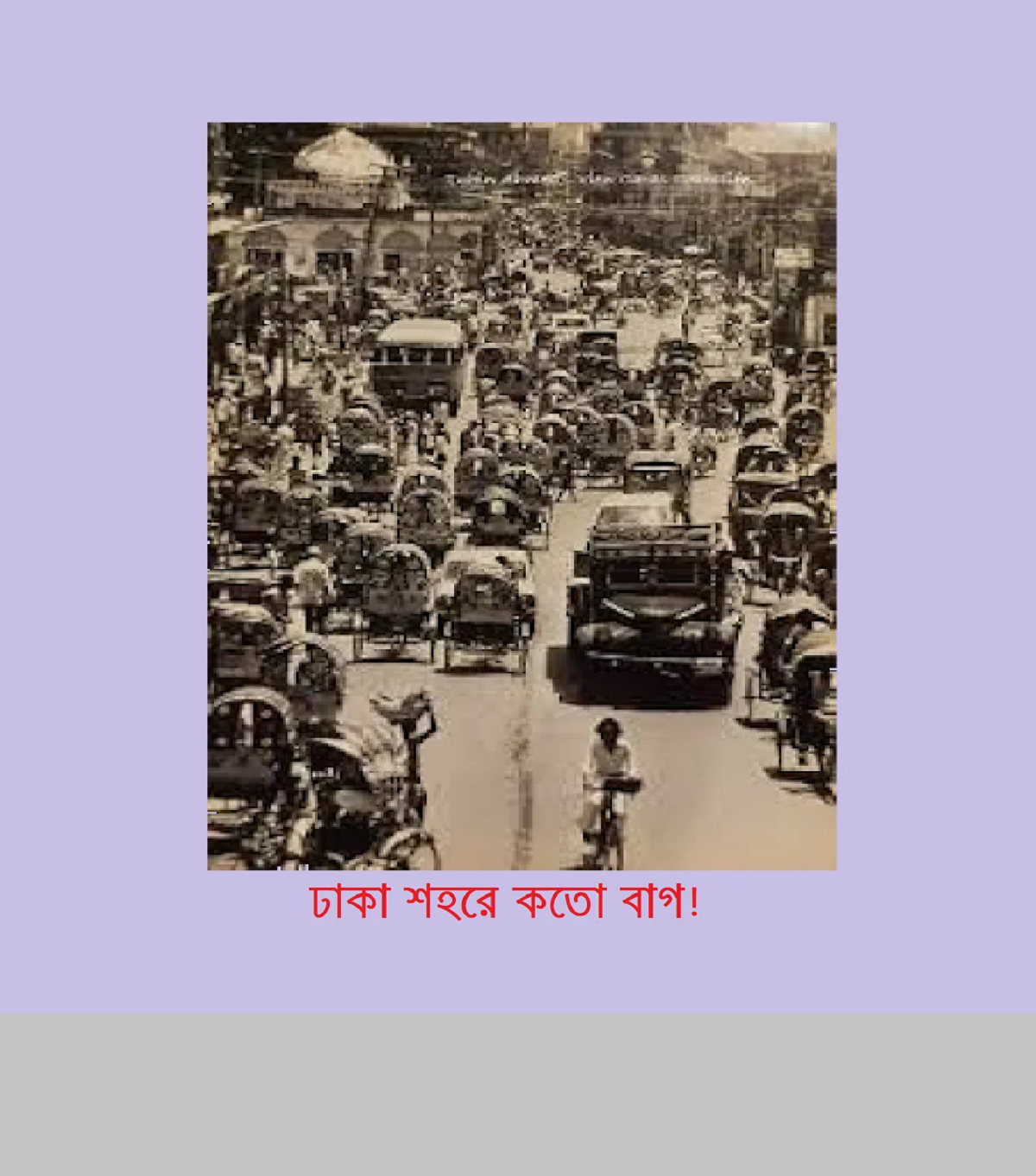 গুলবাগিচার বুলবুলি আমি…