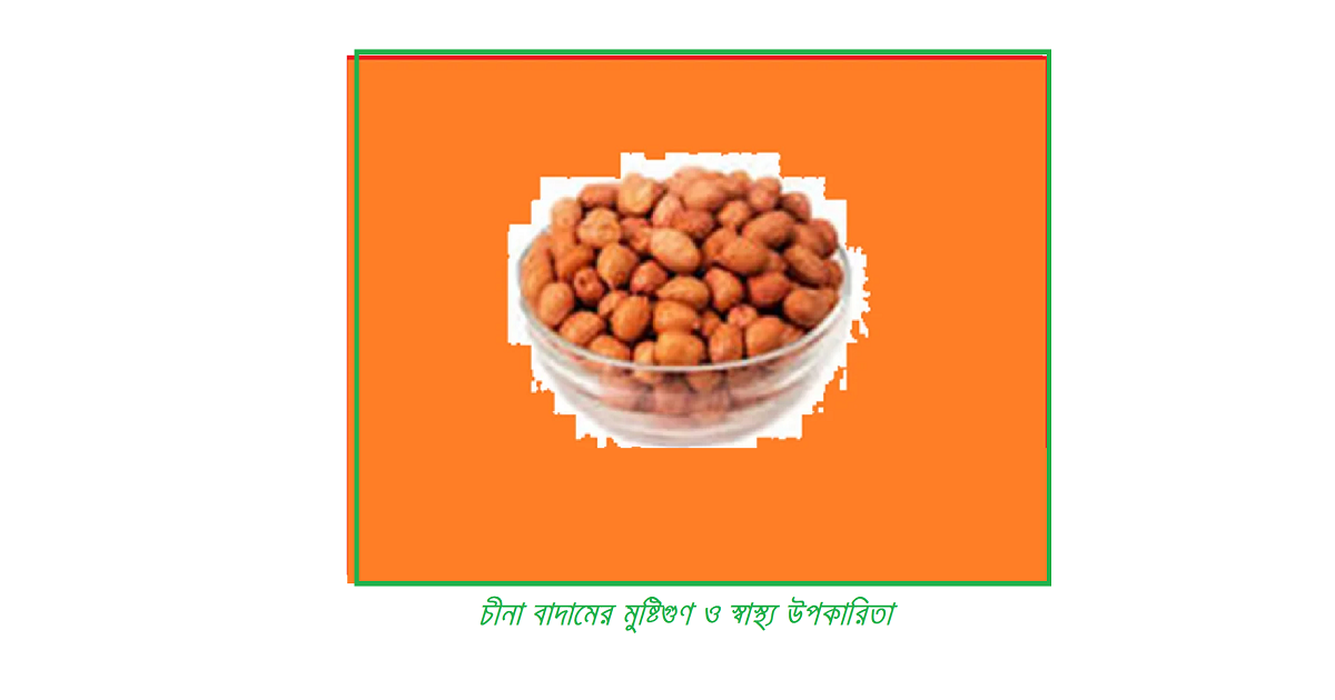 চিনা বাদামের পুষ্টিগুণ ও স্বাস্থ্য উপকারিতা – সুলভ কিন্তু শক্তিশালী খাদ্য
