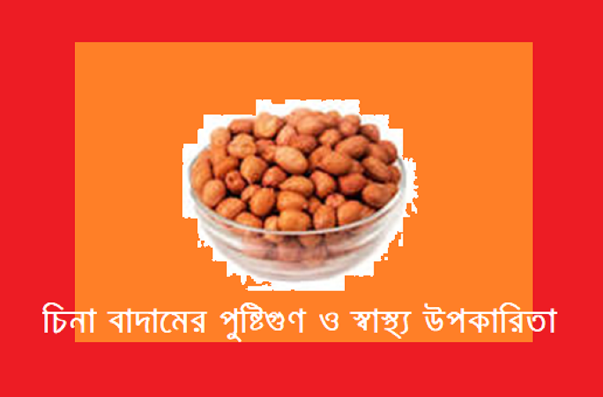 চিনা বাদামের পুষ্টিগুণ ও স্বাস্থ্য উপকারিতা – সুলভ কিন্তু শক্তিশালী খাদ্য