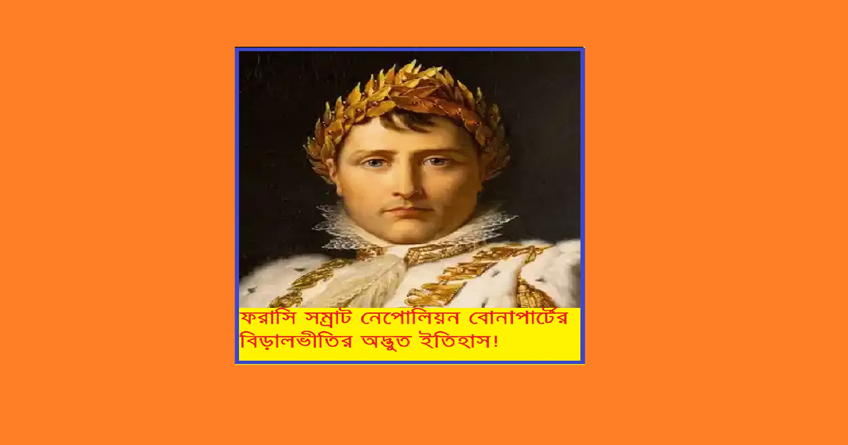 নেপোলিয়নের বিড়ালের ভয়: এক মহান সেনাপতির অদ্ভুত দুর্বলতা