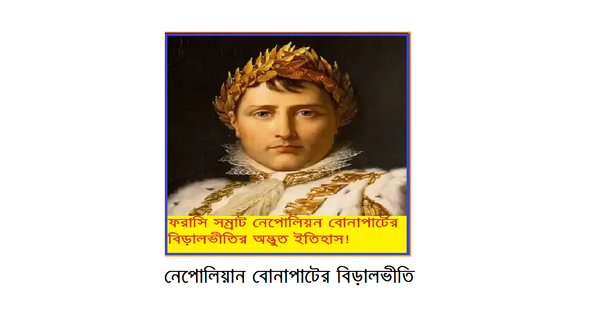 নেপোলিয়নের বিড়ালের ভয়: এক মহান সেনাপতির অদ্ভুত দুর্বলতা