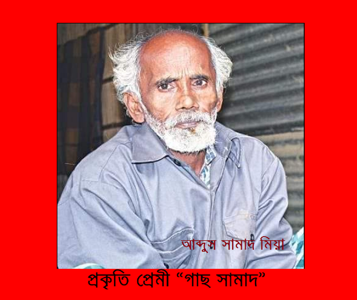 প্রকৃতি প্রেমী “গাছ সামাদ”