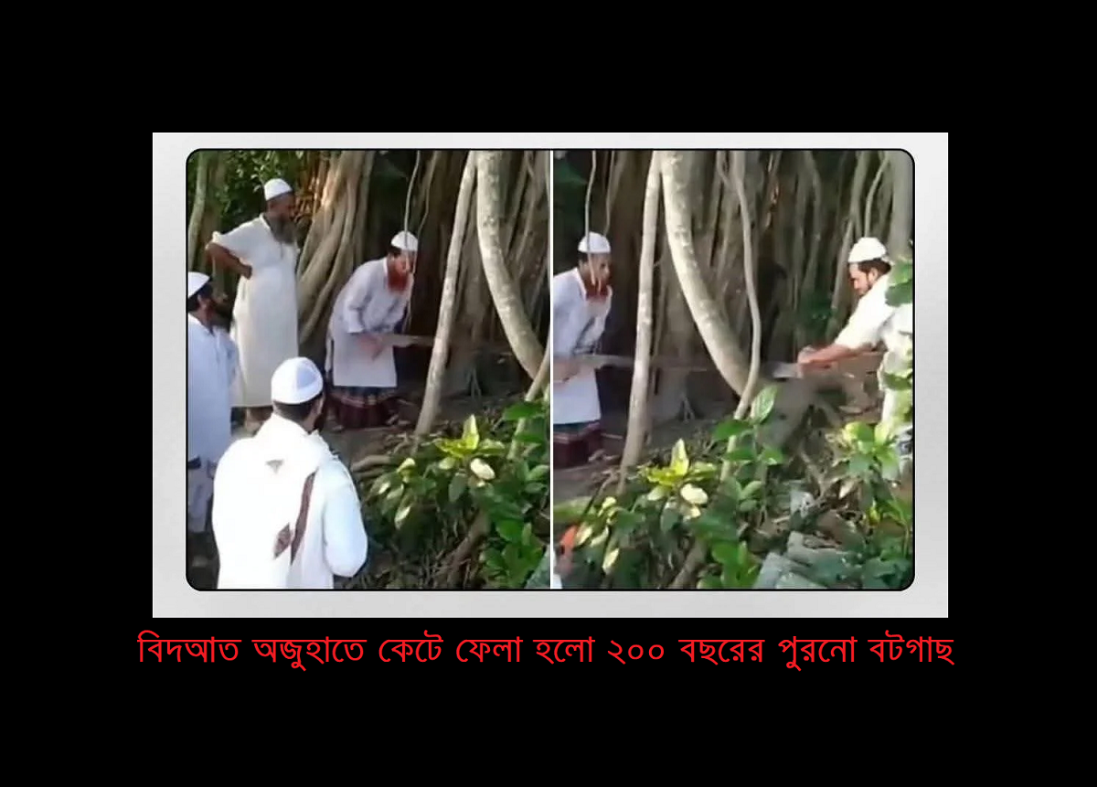 গাছও আল্লাহর প্রার্থনা করে!