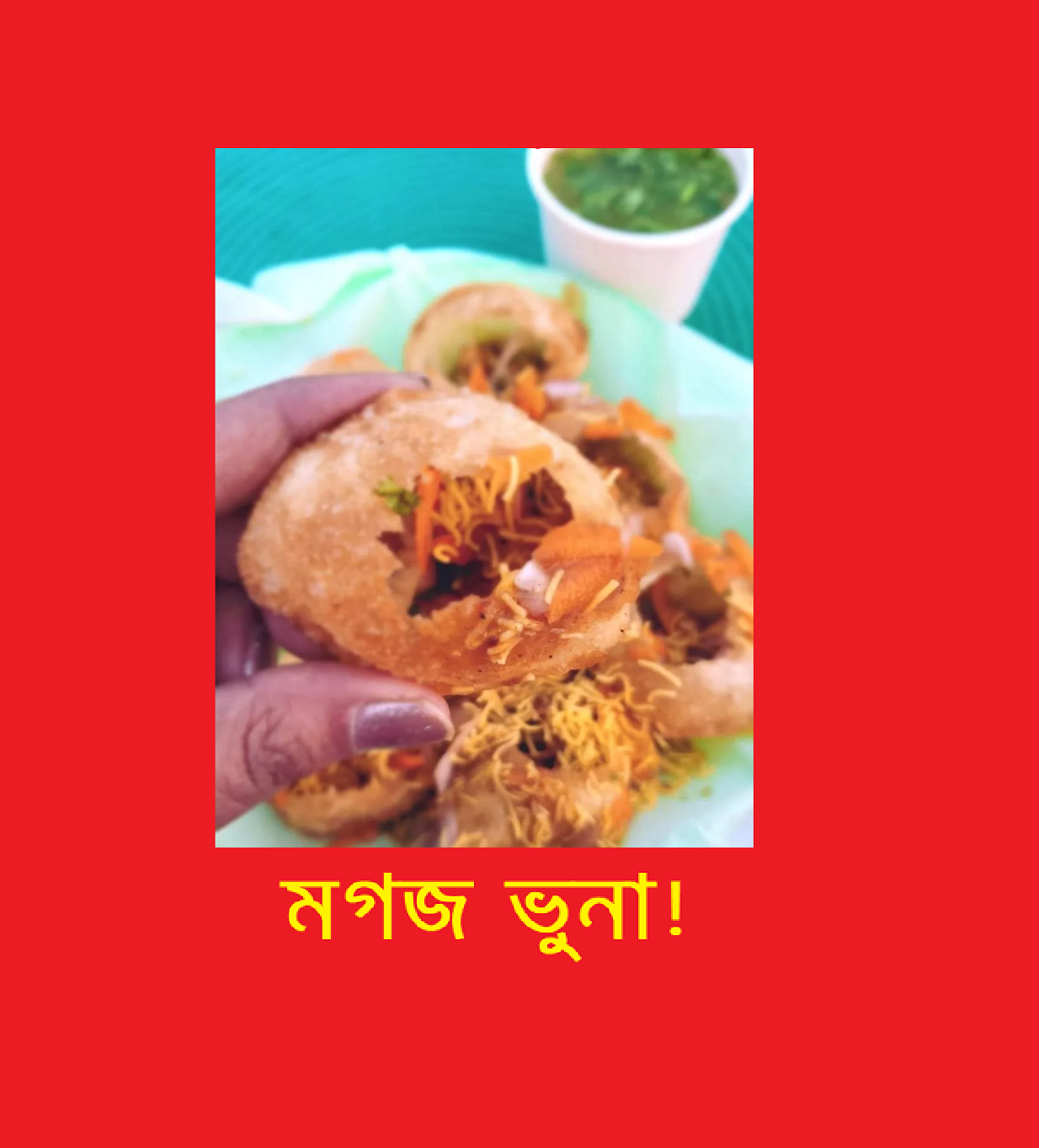 মগজ ভুনা : নাজিম উদ দৌলা
