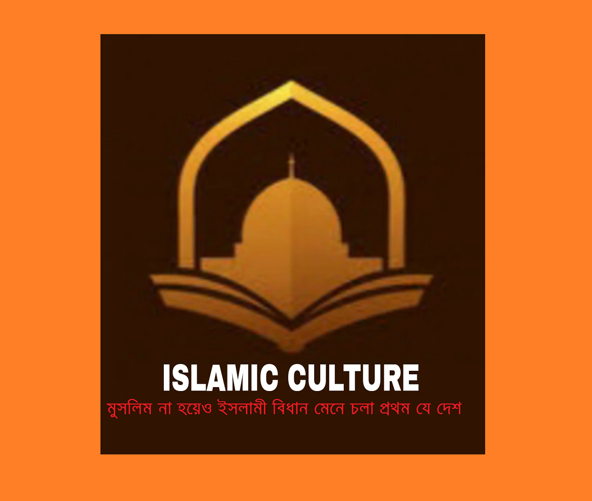 মুসলিম না হয়েও ইসলামী বিধান মেনে চলা প্রথম যে দেশ