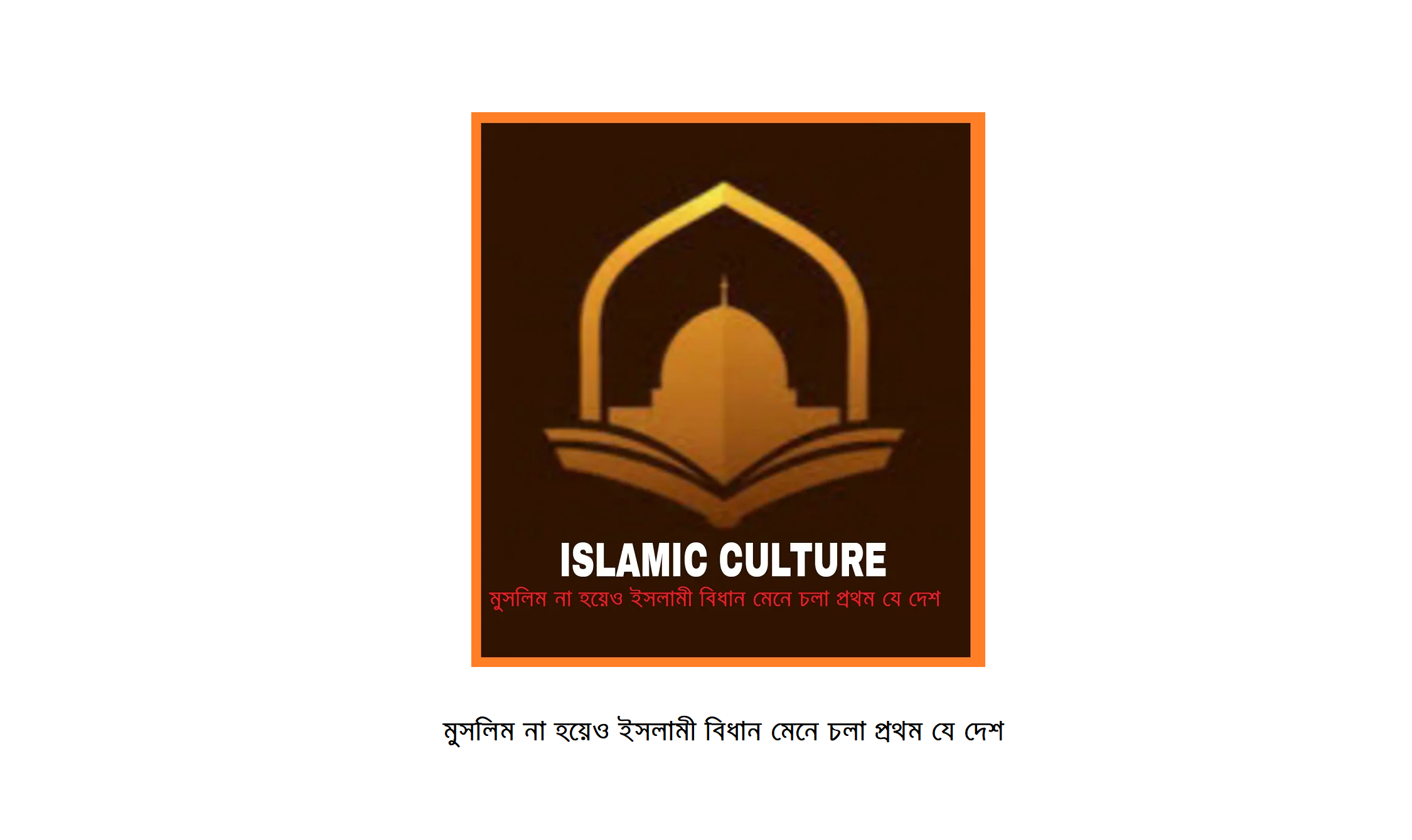 মুসলিম না হয়েও ইসলামী বিধান মেনে চলা প্রথম যে দেশ