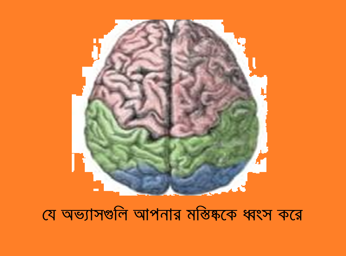 যে অভ্যাসগুলি আপনার মস্তিষ্ককে ধ্বংস করে 4 যে অভ্যাসগুলি আপনার মস্তিষ্ককে ধ্বংস করে