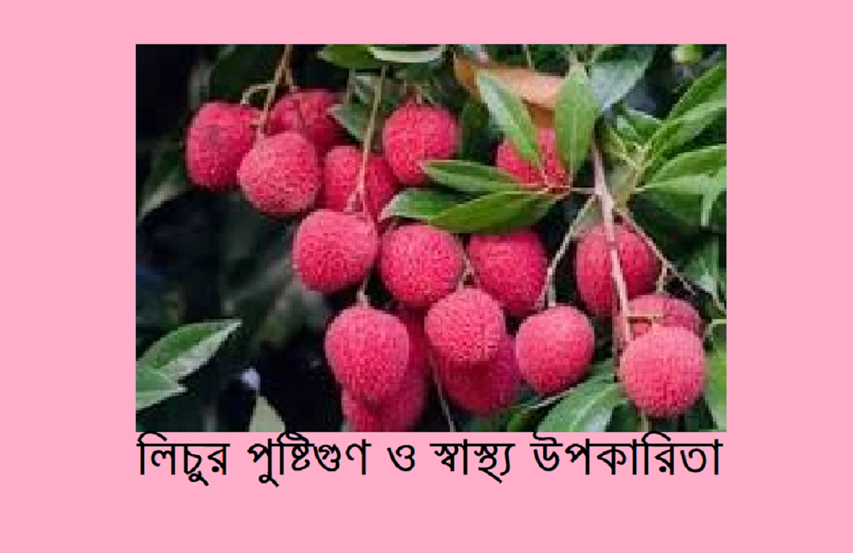 লিচুর পুষ্টিগুণ ও স্বাস্থ্য উপকারিতা – গ্রীষ্মের রসালো ফলের সম্পূর্ণ বিশ্লেষণ