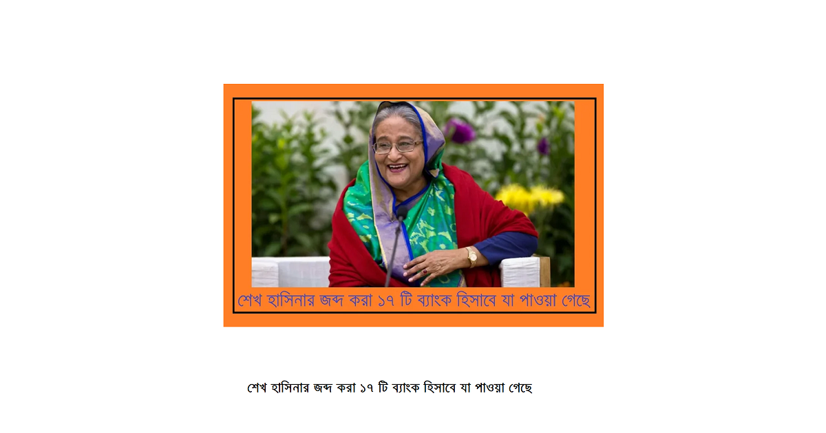 শেখ হাসিনার জব্দ করা ১৭ টি ব্যাংক হিসাবে যা পাওয়া গেছে