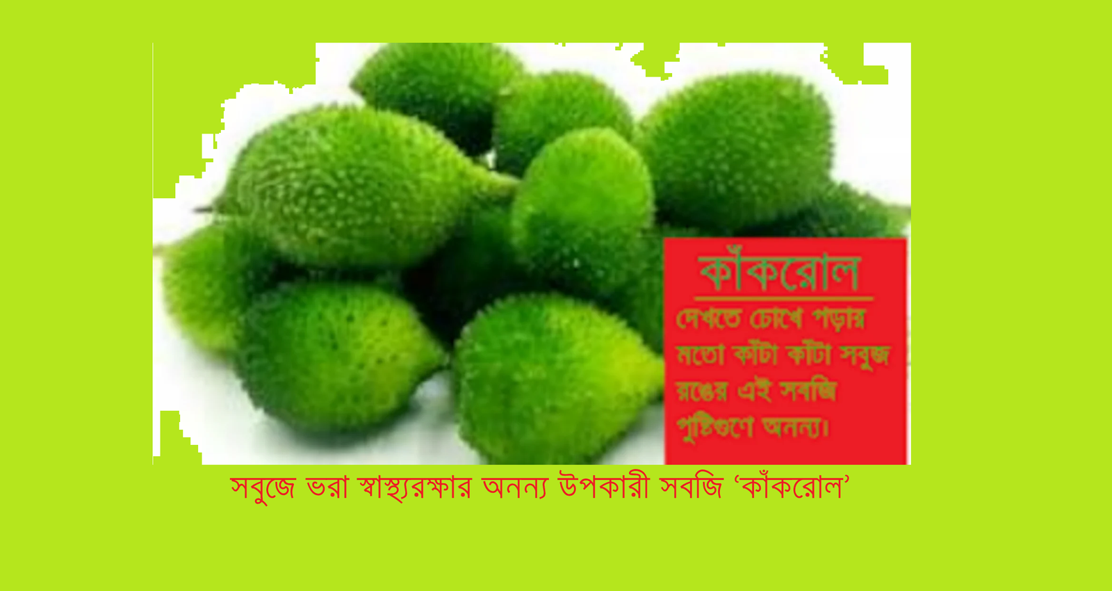 সবুজে ভরা স্বাস্থ্যরক্ষার অনন্য উপকারী সবজি ‘কাঁকরোল’