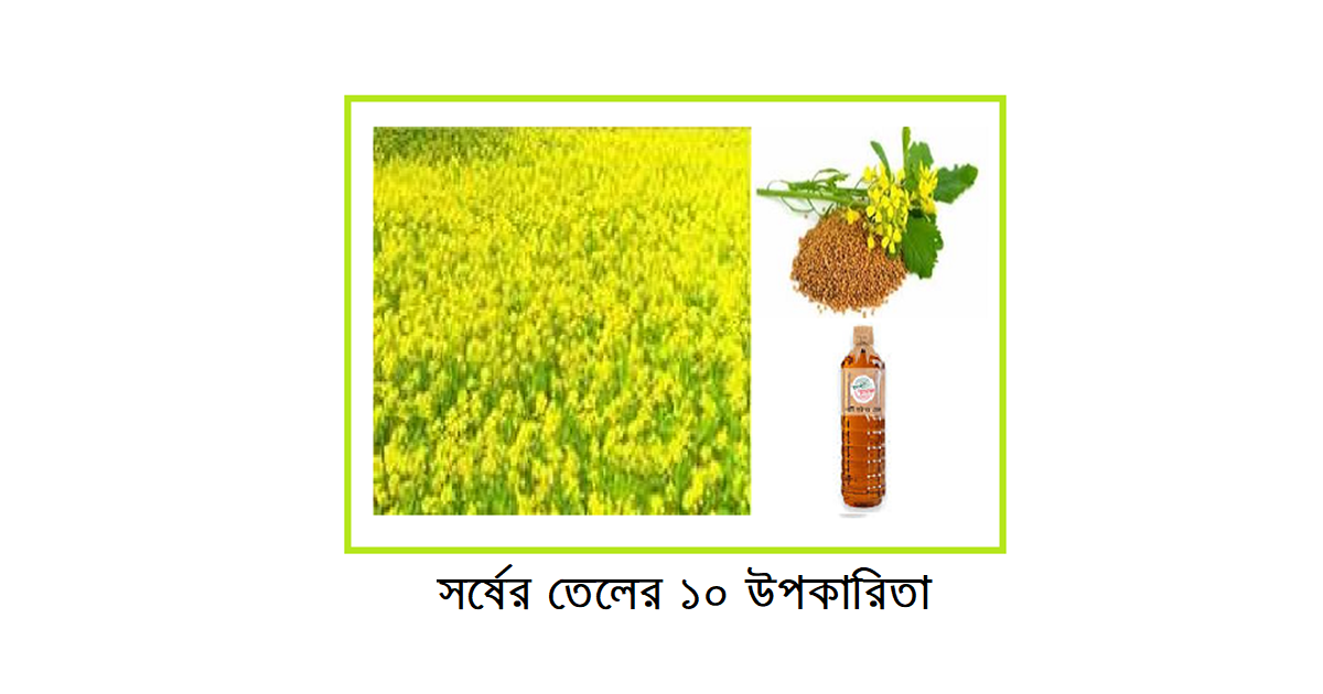 সর্ষের তেলের ১০ উপকারিতা