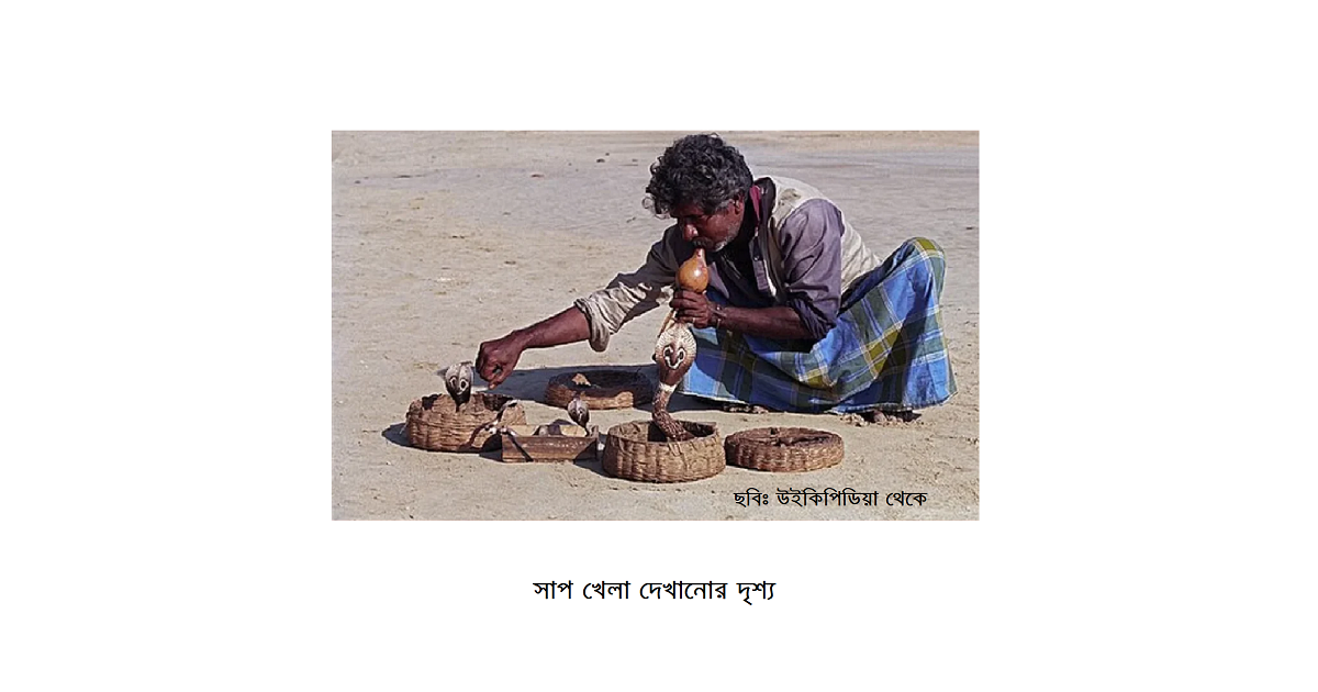 কেদার সাপুড়ে: লোককথা, বাস্তবতা এবং এক নির্মম পরিণতি