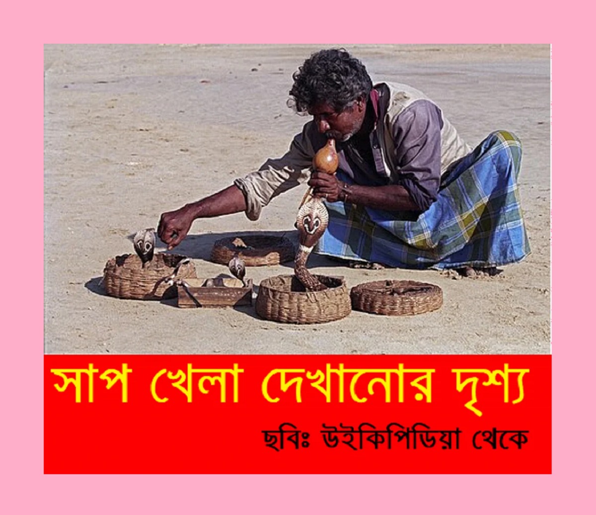 কেদার সাপুড়ে: লোককথা, বাস্তবতা এবং এক নির্মম পরিণতি