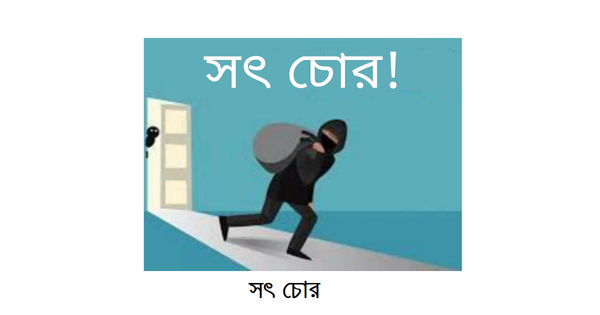 সৎ চোর