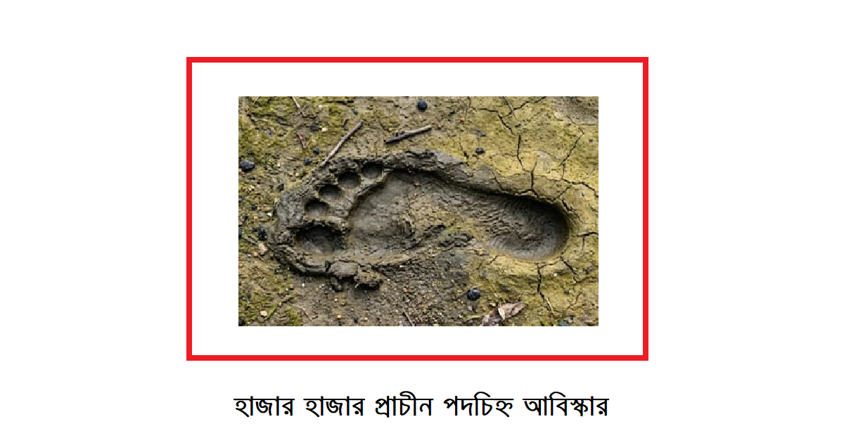 হাজার হাজার প্রাচীন পদচিহ্ন: ইতিহাসের নীরব সাক্ষী
